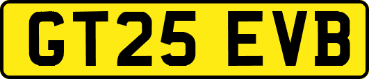 GT25EVB