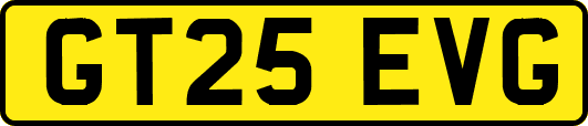 GT25EVG