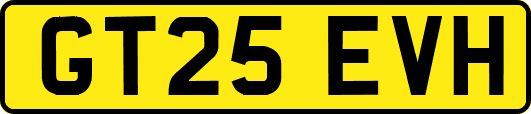 GT25EVH