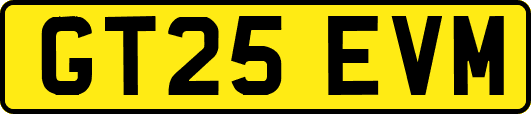 GT25EVM