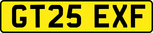 GT25EXF