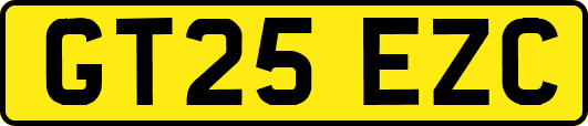 GT25EZC