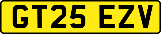 GT25EZV