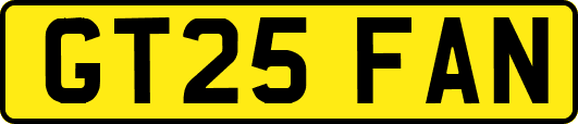 GT25FAN