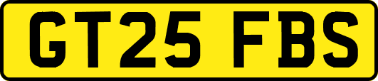 GT25FBS
