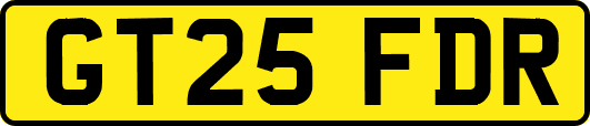 GT25FDR