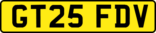 GT25FDV