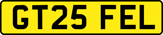GT25FEL