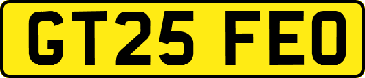 GT25FEO