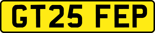 GT25FEP