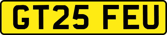 GT25FEU
