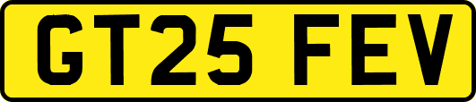 GT25FEV