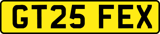 GT25FEX