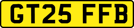 GT25FFB