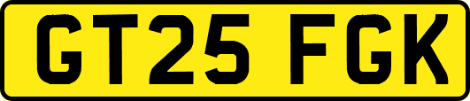 GT25FGK