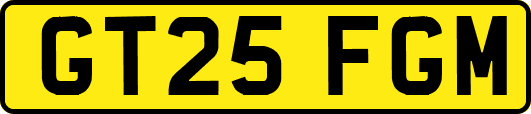 GT25FGM