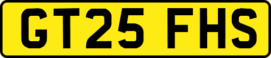 GT25FHS