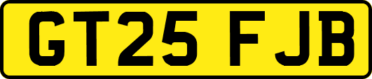 GT25FJB