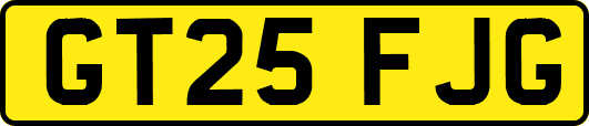 GT25FJG
