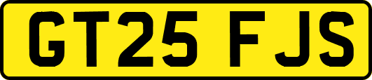 GT25FJS