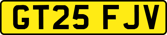 GT25FJV