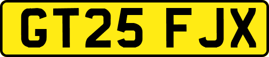 GT25FJX