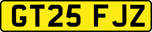 GT25FJZ