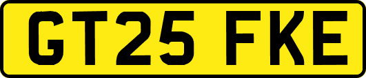 GT25FKE