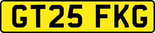 GT25FKG