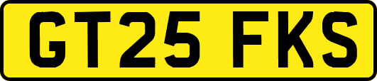 GT25FKS