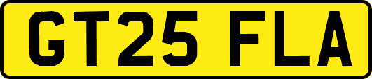 GT25FLA