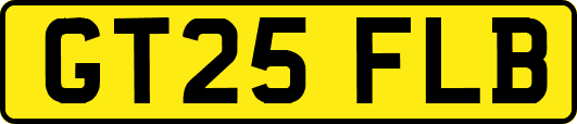 GT25FLB