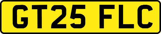 GT25FLC