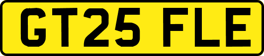 GT25FLE