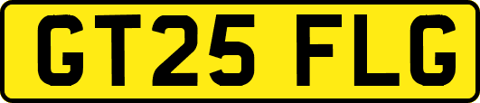GT25FLG