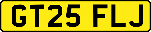 GT25FLJ