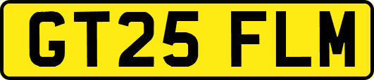 GT25FLM