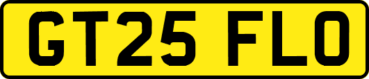 GT25FLO