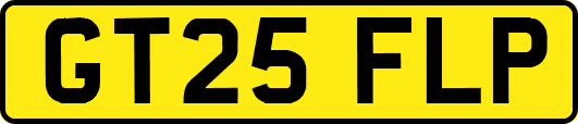 GT25FLP