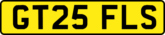GT25FLS
