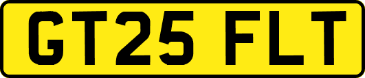 GT25FLT