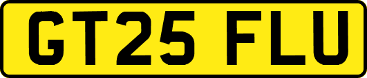 GT25FLU