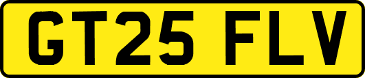 GT25FLV