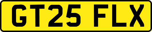 GT25FLX