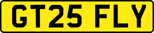 GT25FLY