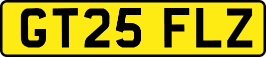 GT25FLZ