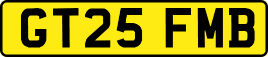 GT25FMB