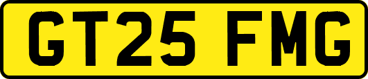GT25FMG