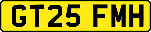 GT25FMH