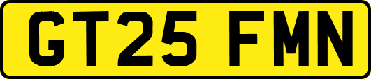 GT25FMN